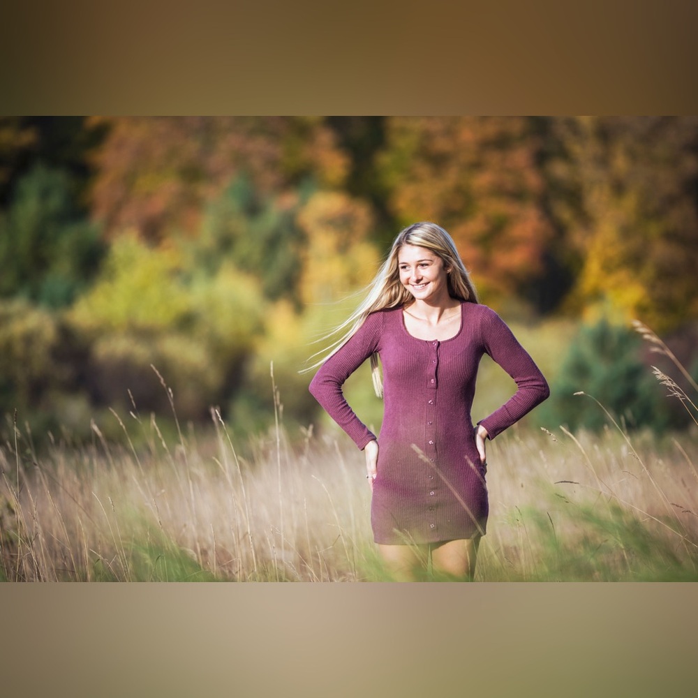 American Eagle Bodycon Sweater Dress